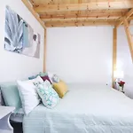 Casa Niovi, Acharavi * 阿查拉维