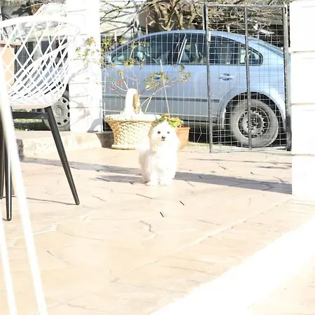 Casa Niovi, Acharavi Tatil Evi